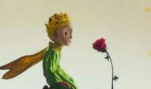 没有低到尘埃里的种子不开花