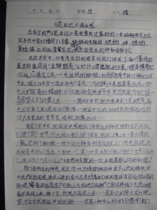 读虫后50个字