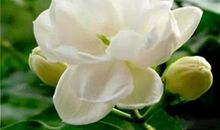 四十岁以后的醒悟，早看早知道，改变你一生