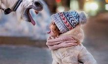 世界知名企业的经典段子，你知道几个呢？