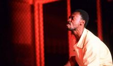 阿索尔富加德名言