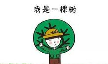 习作：假如我是一棵树
