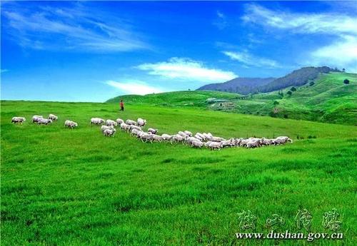 宣传草原保护口号