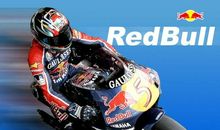 十七项成功原则