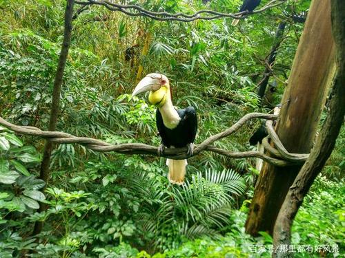 养成31种习惯来改善自己