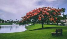 为了合群，我们究竟浪费了多少时间