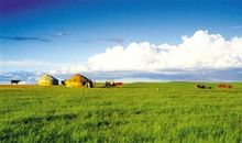 关于草原的诗句