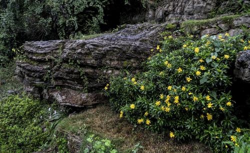 郭沫若：布谷鸟