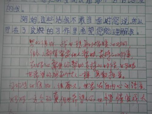 2016年度优秀小学总结