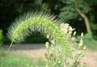 你不能承认失败，但你必须承认失败