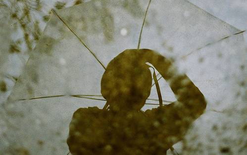 情绪智力高的人像这样发送微信