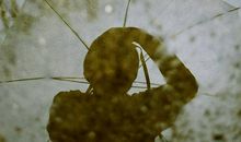 情商高的人，都是这样发微信的