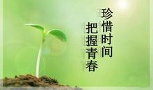 把握青春的句子