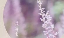 莫言：看别人的世界，品自己的人生