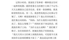 五年级童年趣事作文