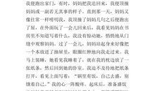 高中母爱作文：解码