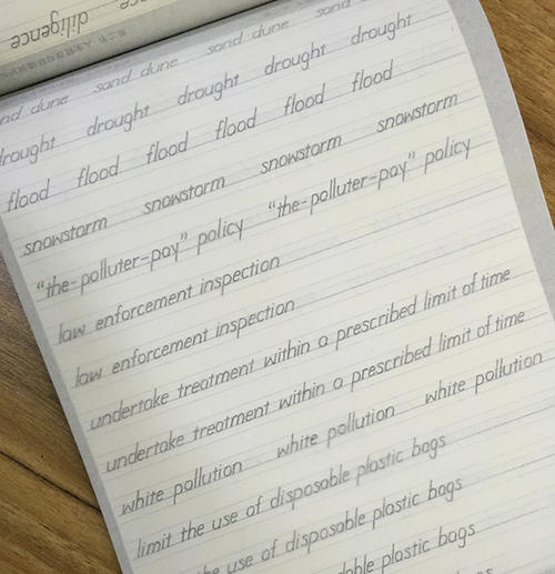 英语作文中的好句子