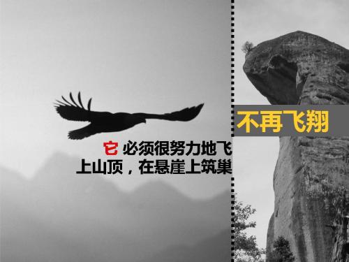 励志日记：成长的代价