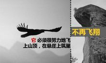 励志日志：成长的代价