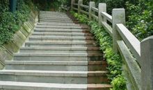 迈向幸福的九级台阶