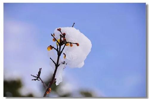 成功的第一步：放弃您真正想做的20件事