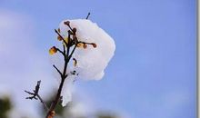 成功的第一步：放弃20件你很想做的事