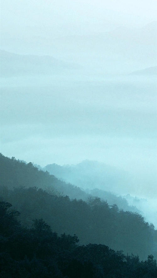 经典语录：是非对，我只想和你一起死