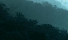 经典语录：不管登不登对，只想与你终老