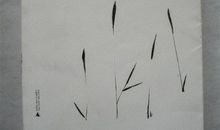 周国平：婚姻反思录