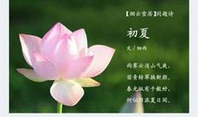 关于初夏的诗句