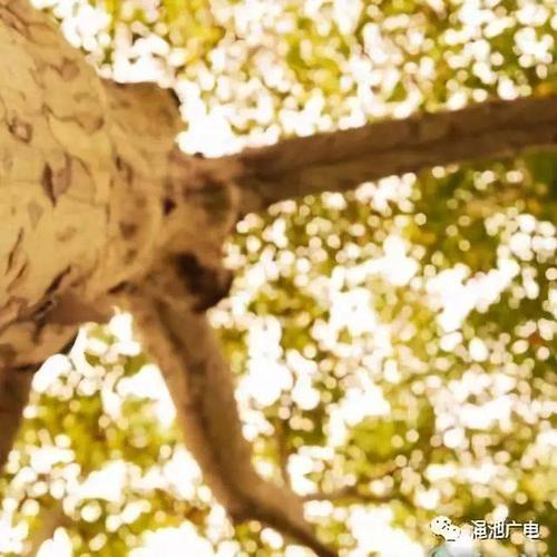 余秋雨：贵池Nu