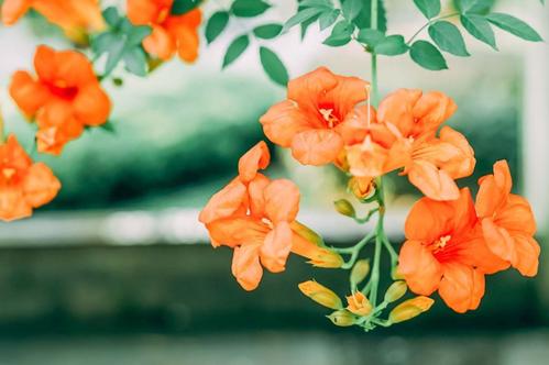 心语：您不要求的东西，经常不要求