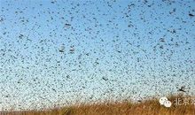 博导调查：千疮百孔的中国农村