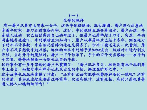 我最难忘的夜晚作文