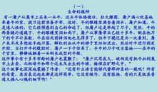 我最难忘的晚上作文