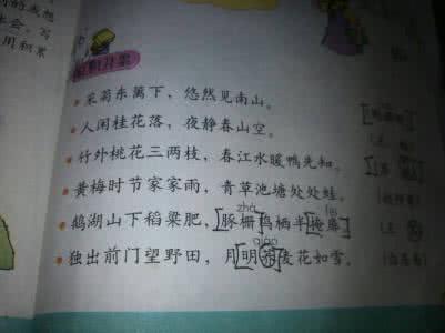 良好的句子和段落促进成长