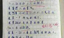 参观新农村作文