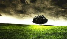 10种方式在埋葬你的职业生涯