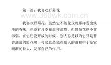 四年级作文：野菊花