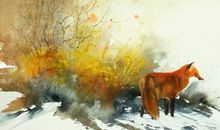 经典语录：梦想成真之前，它看上去总是那么遥不可及