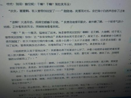 撰写动物文章:小黑皮皮犬