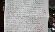 这一次，我战胜了自己作文