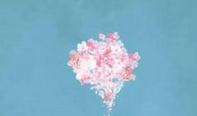 经典语录：你没错，我也没错，我们遇见是个错