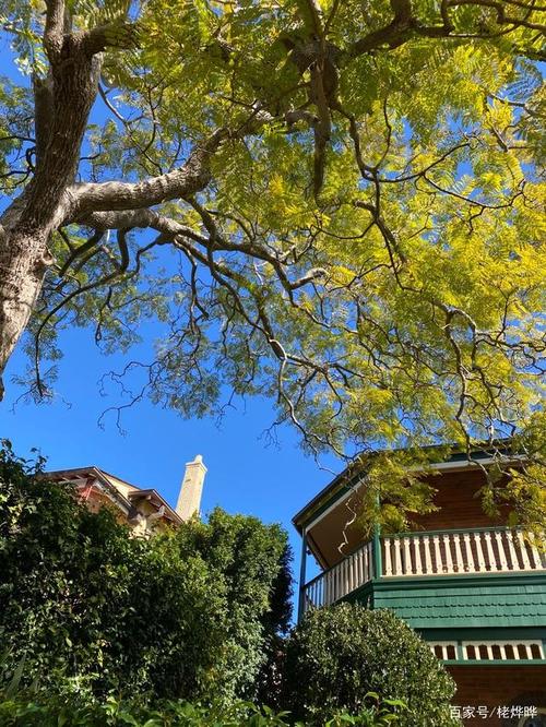 一句话令人赏心悦目