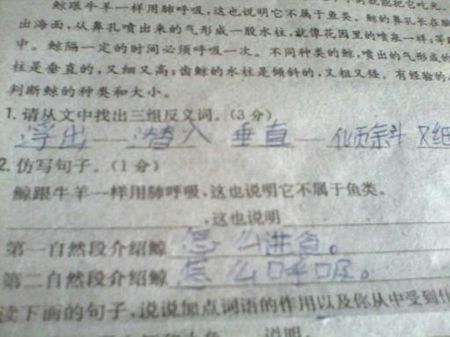 就像句子中的什么