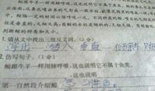 什么像什么一样造句