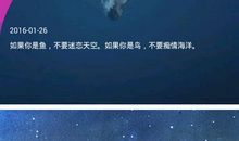 高考励志故事：倒计时11天日记