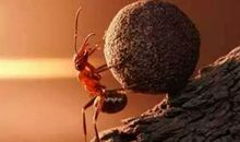 温柔背后，是拼尽全力的忍耐与努力