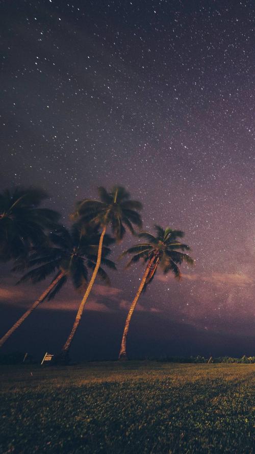 经典语录：最美丽的相遇，却不诉说过去；最好的分开，不问退货日期