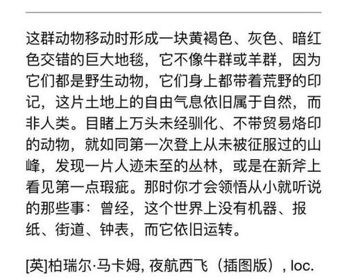 关于场景描述的段落